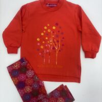 591908631 1479861960676977 2261759281816080506 n