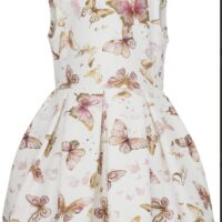 615835115 2135465797225032 6984193855653530650 n