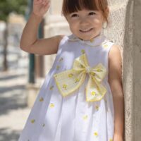 660297886 2202780203826924 5989253169501561705 n